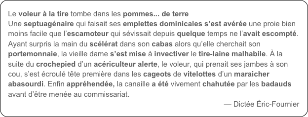 Le voleur à la tire tombe dans les pommes... de terre
Une septuagénaire qui faisait ses emplettes dominicales s’est avérée une proie bien moins facile que l’escamoteur qui sévissait depuis quelque temps ne l’avait escompté. Ayant surpris la main du scélérat dans son cabas alors qu’elle cherchait son portemonnaie, la vieille dame s’est mise à invectiver le tire-laine malhabile. À la suite du crochepied d’un acériculteur alerte, le voleur, qui prenait ses jambes à son cou, s’est écroulé tête première dans les cageots de vitelottes d’un maraicher abasourdi. Enfin appréhendée, la canaille a été vivement chahutée par les badauds avant d’être menée au commissariat.
— Dictée Éric-Fournier