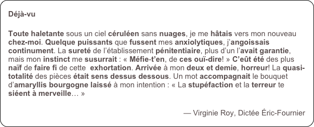 Déjà-vu

Toute haletante sous un ciel céruléen sans nuages, je me hâtais vers mon nouveau chez-moi. Quelque puissants que fussent mes anxiolytiques, j’angoissais continument. La sureté de l’établissement pénitentiaire, plus d’un l’avait garantie, mais mon instinct me susurrait : « Méfie-t’en, de ces ouï-dire! » C’eût été des plus naïf de faire fi de cette  exhortation. Arrivée à mon deux et demie, horreur! La quasi-totalité des pièces était sens dessus dessous. Un mot accompagnait le bouquet d’amaryllis bourgogne laissé à mon intention : « La stupéfaction et la terreur te siéent à merveille… »

— Virginie Roy, Dictée Éric-Fournier
